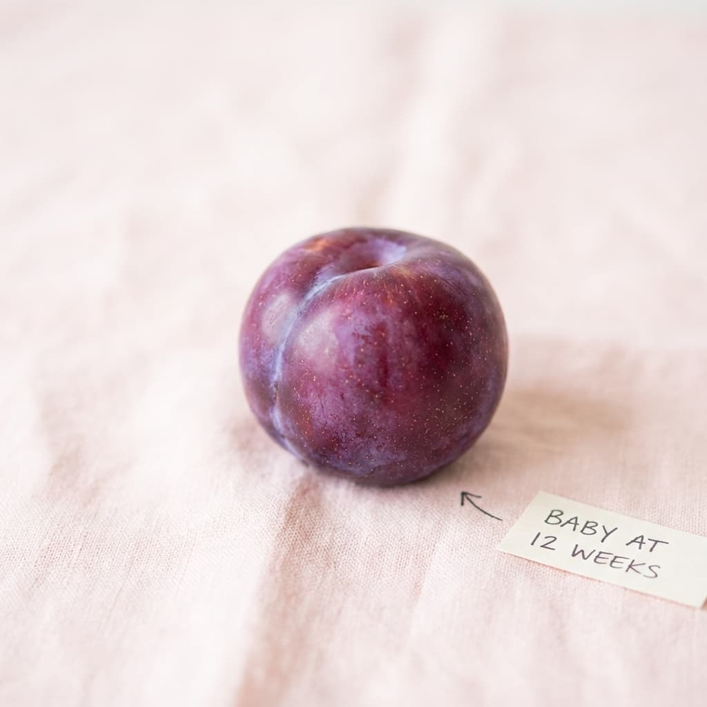 Grandezza feto settimana 12: frutta