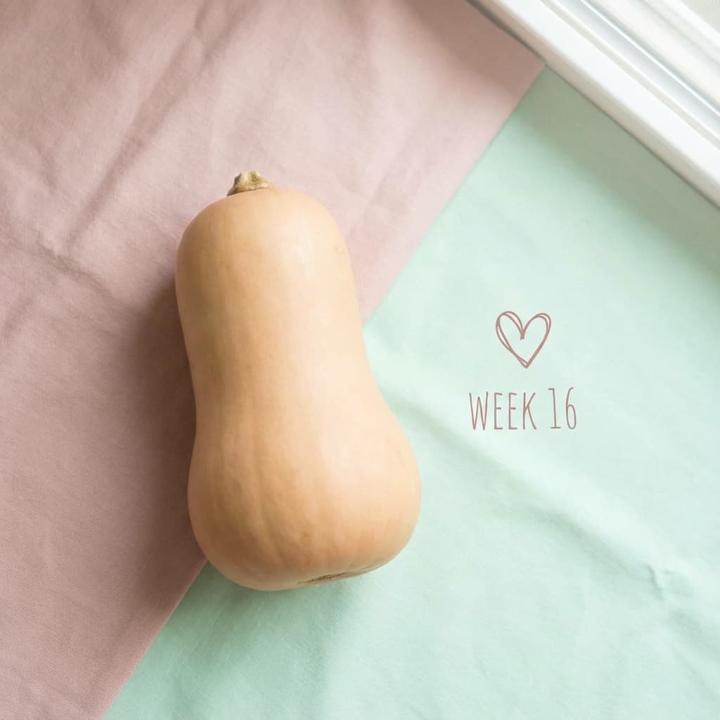 Grandezza feto settimana 34: Melone Cantalupo