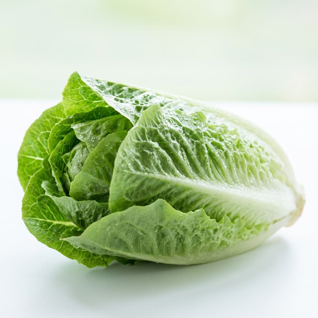 Grandezza feto settimana 36: Lattuga Romana