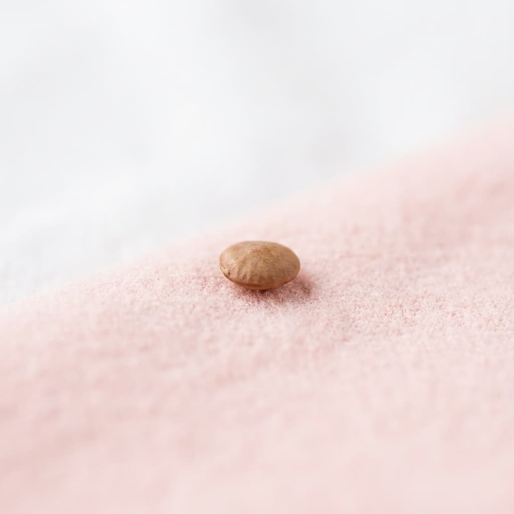 Grandezza feto settimana 6: frutta